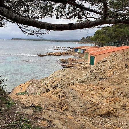 T2 Climatise A L'Ile D'Or Avec Piscine Pres De La Plage La Londe-les-Maures Exterior foto